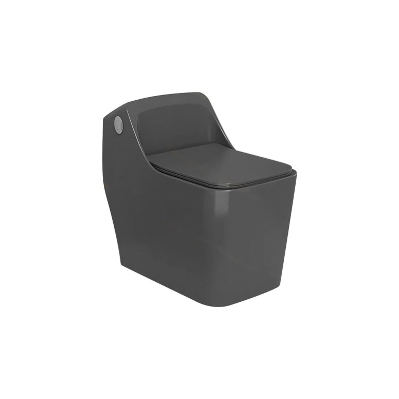 LT-1201-CG-DG black one-piece-toilets