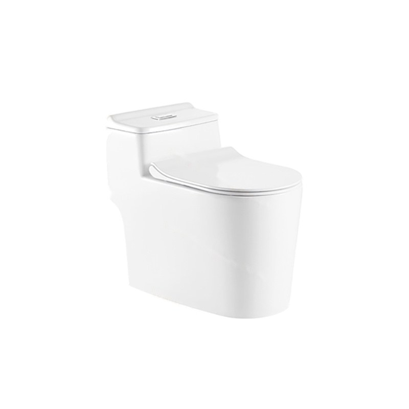 LT-1124 white one-piece-toilets