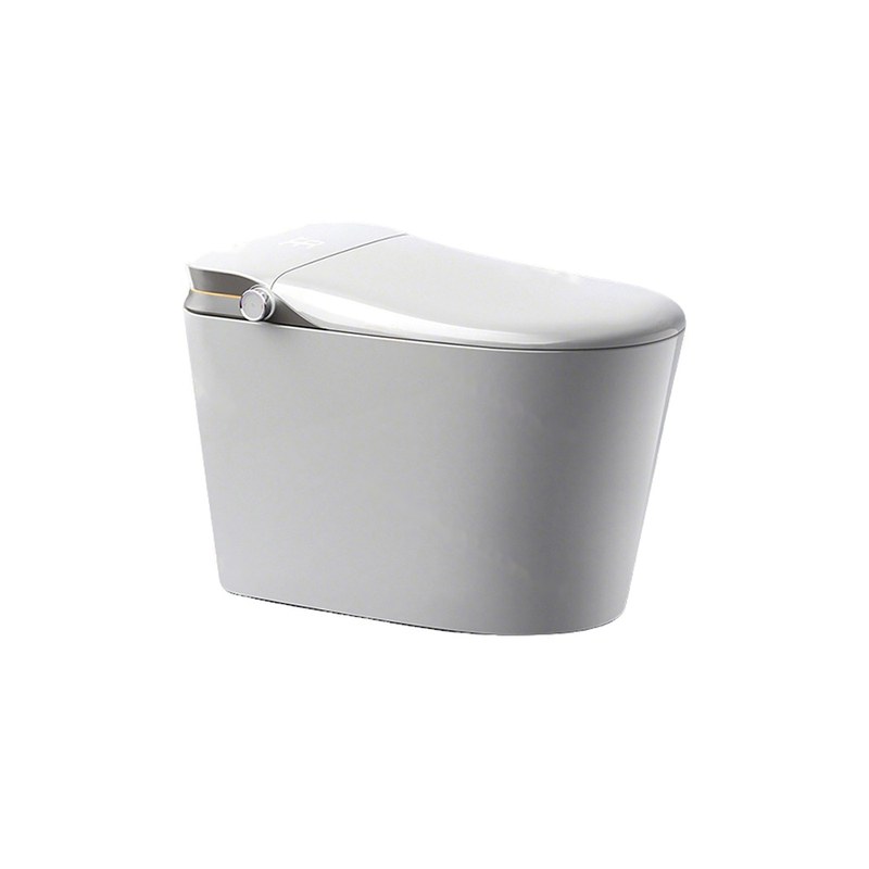 LT-TO-1115-C-GR white smart-toilets