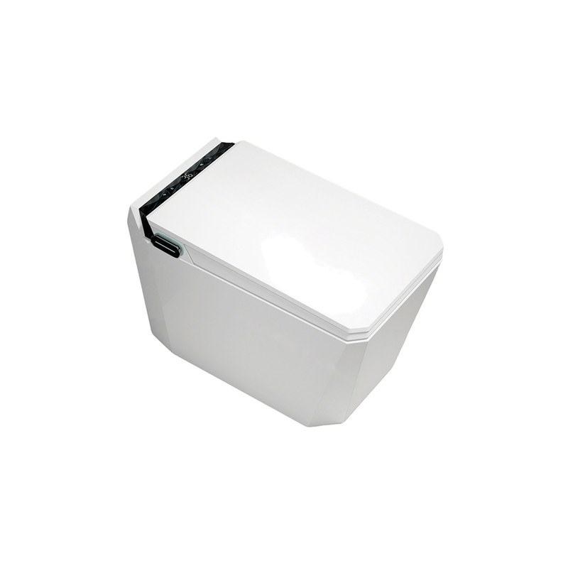 LT-TO-1120-WB-W patterned smart-toilets