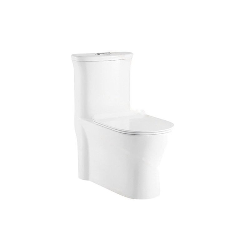 LT-1119 white one-piece-toilets