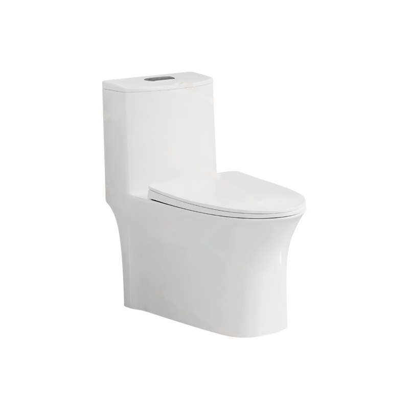 LT-1295 white one-piece-toilets