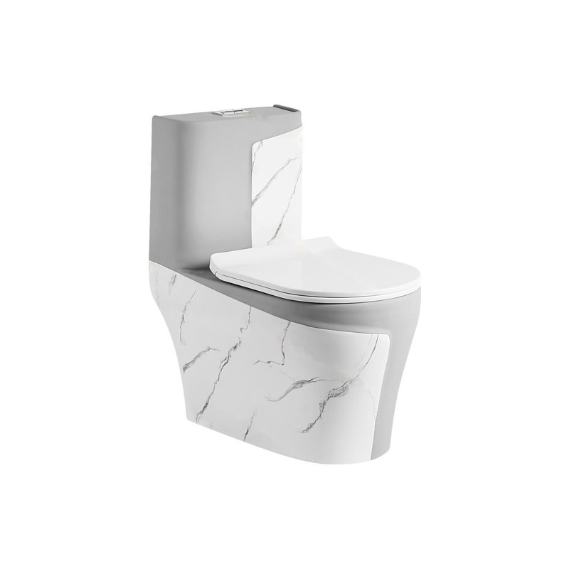 LT-1121-DP-WLG white one-piece-toilets