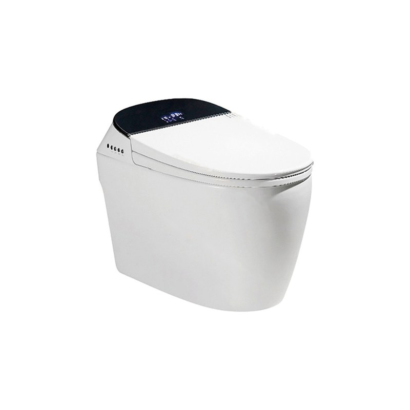 LT-TO-1003-C white smart-toilets