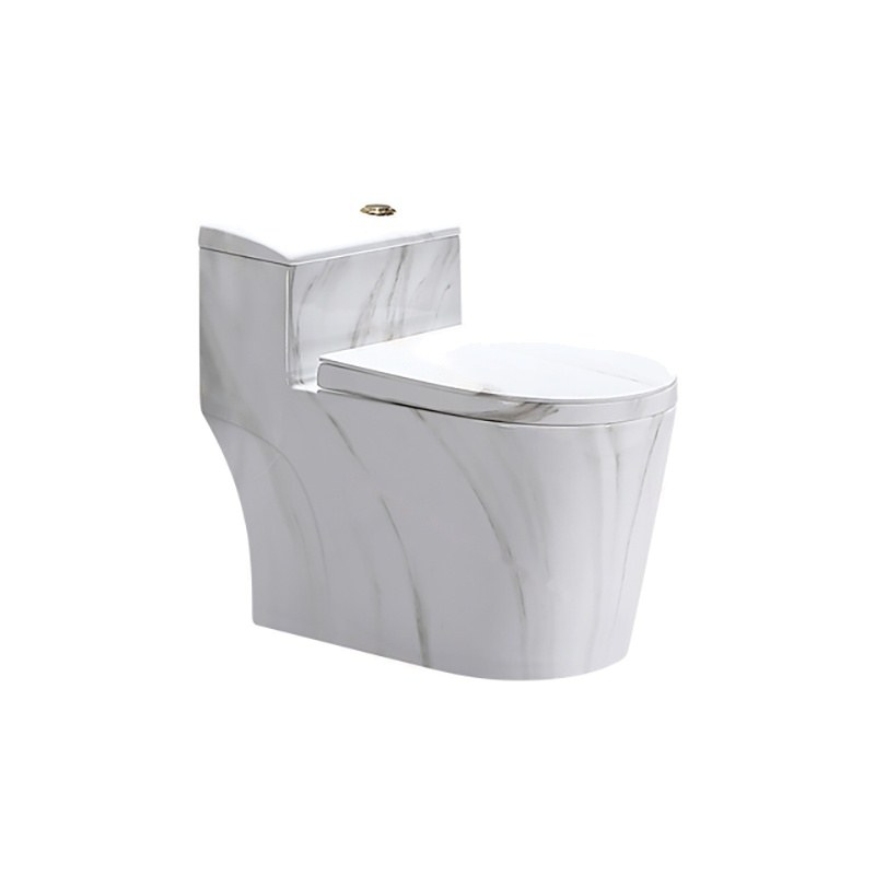 LT-1074-DP-4 patterned one-piece-toilets
