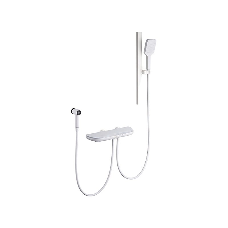 LT-10024-BRA-JYLYHS shower set, shower system, complete shower kit