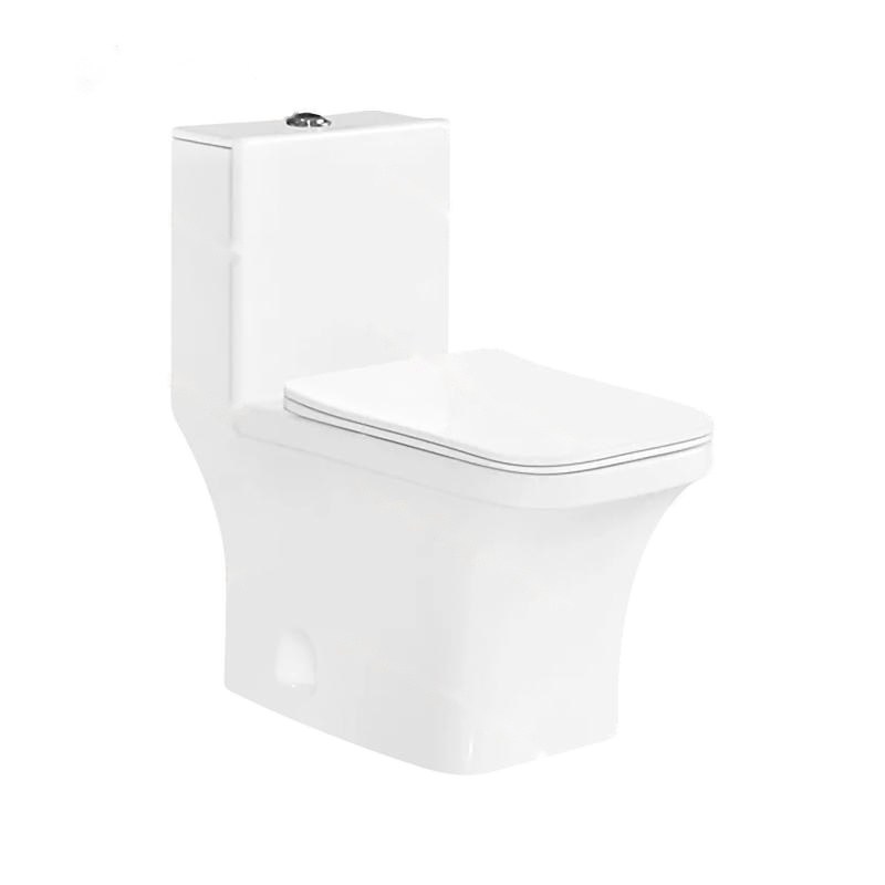 LT-1031 white one-piece-toilets