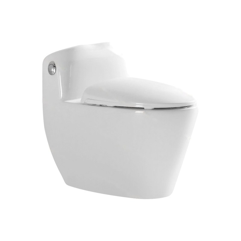 LT-1191 white one-piece-toilets