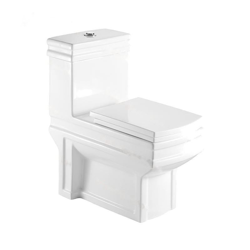 LT-1028 white one-piece-toilets