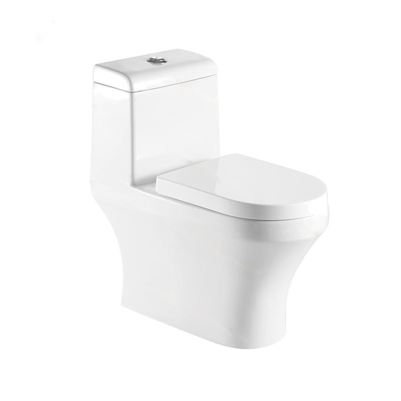 LT-1064 white one-piece-toilets