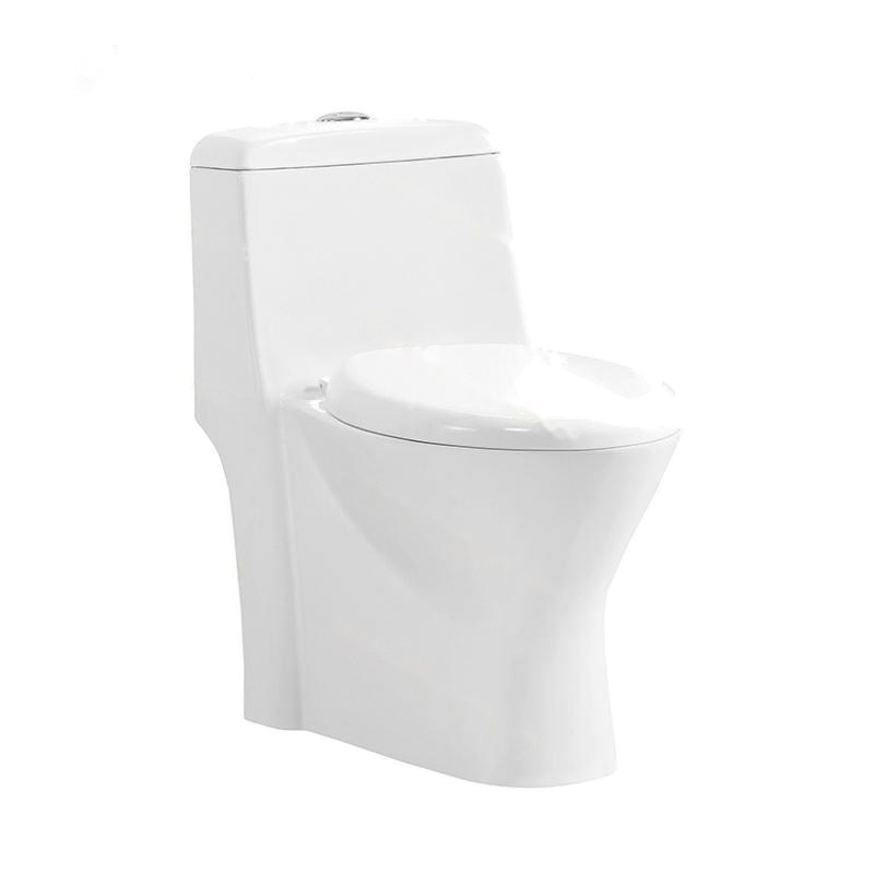 LT-1091 white one-piece-toilets