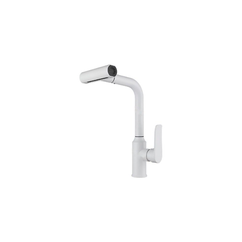 LT-10049-SS-TCCLSSCLRLT kitchen faucet, kitchen mixer tap, sink faucet