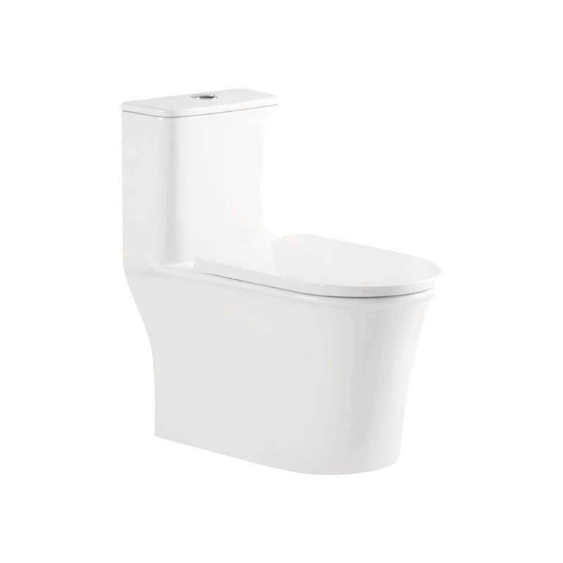 LT-1234 white one-piece-toilets