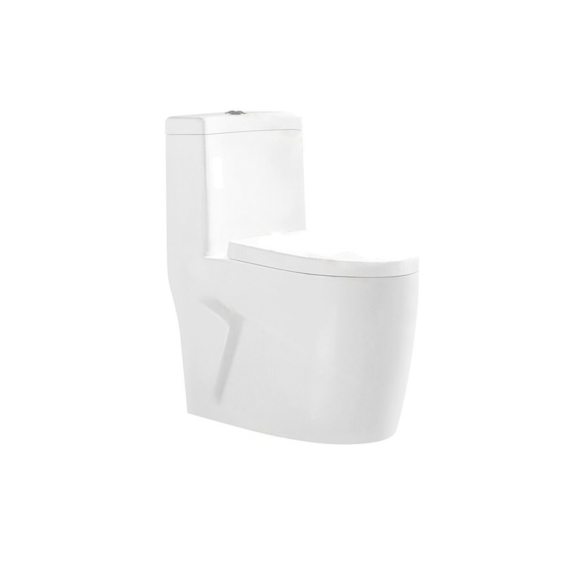 LT-1216 white one-piece-toilets