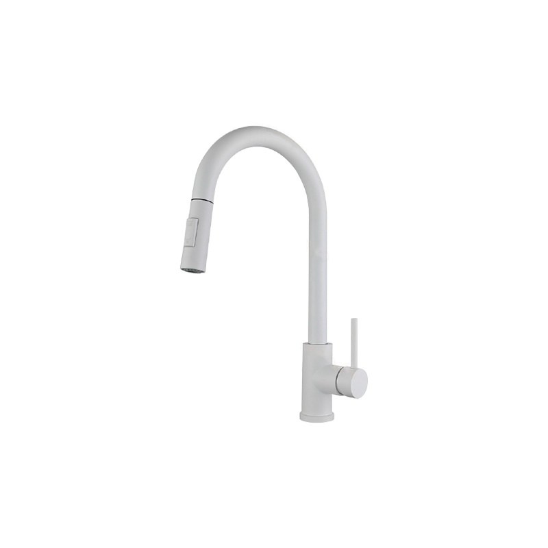 LT-10113-SS-TCCLSSCLRLT kitchen faucet, kitchen mixer tap, sink faucet
