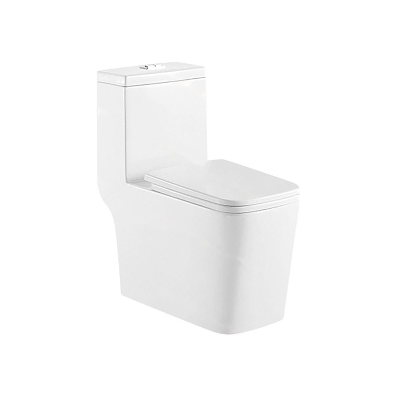 LT-1005B white one-piece-toilets