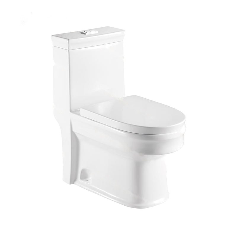 LT-1016 white one-piece-toilets