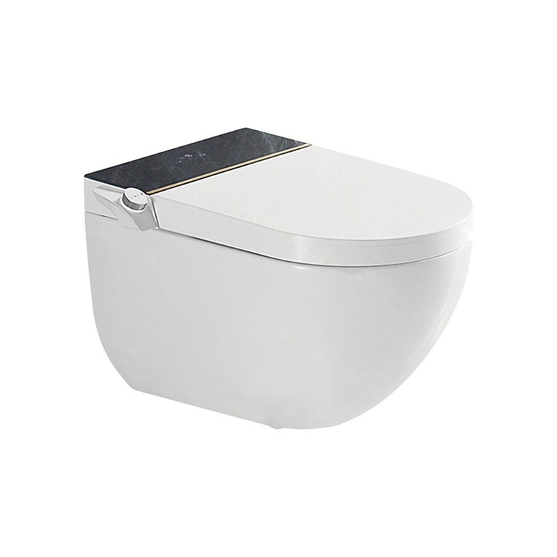 LT-TO-1059-WB-WBL white smart-toilets