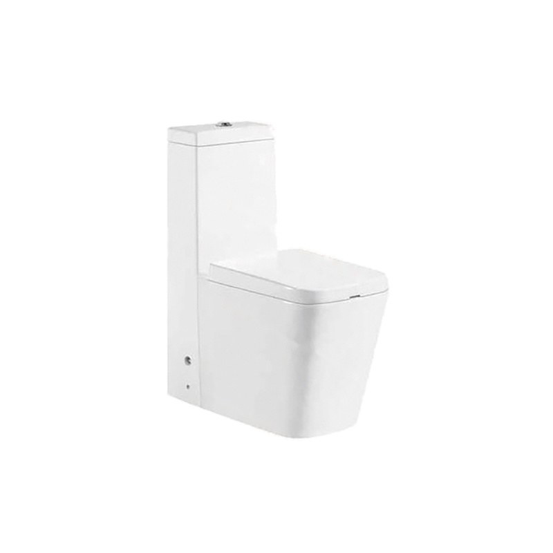 LT-1123 white one-piece-toilets