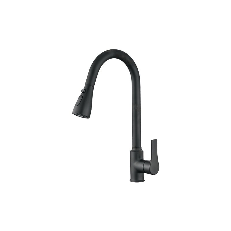 LT-10130-BRA-TCCLSSCLRLT kitchen faucet, kitchen mixer tap, sink faucet