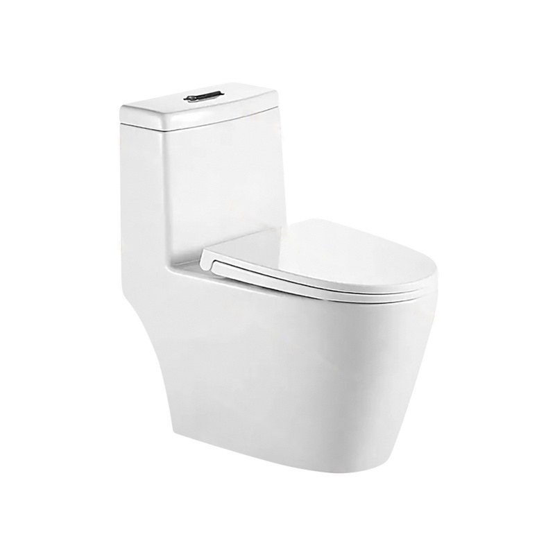 LT-1169 white one-piece-toilets
