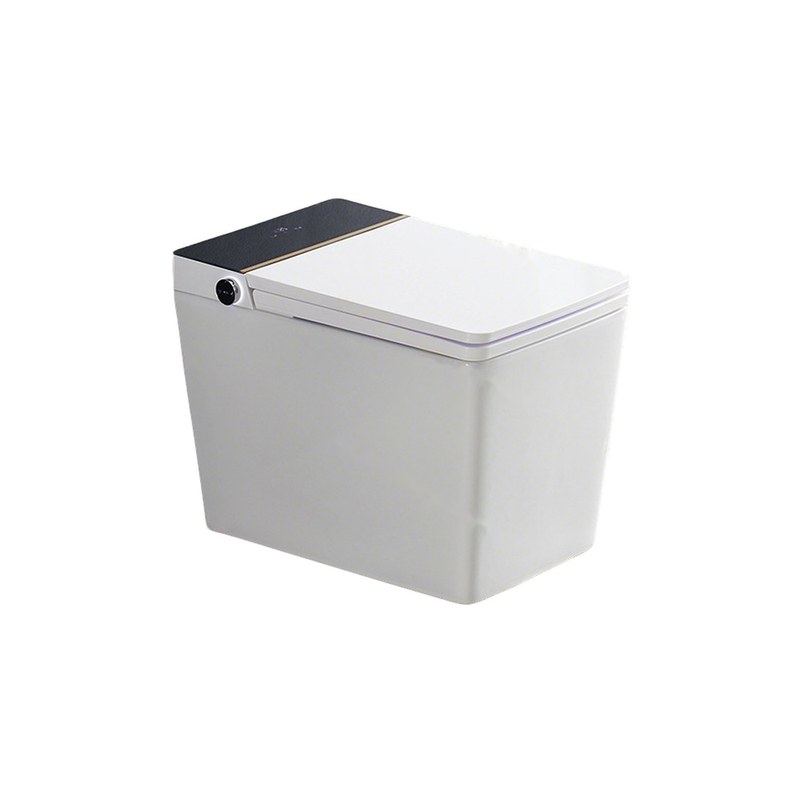 LT-TO-1124-WB-WBL patterned smart-toilets