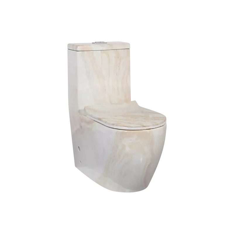 LT-1001-DP-CT1 white one-piece-toilets