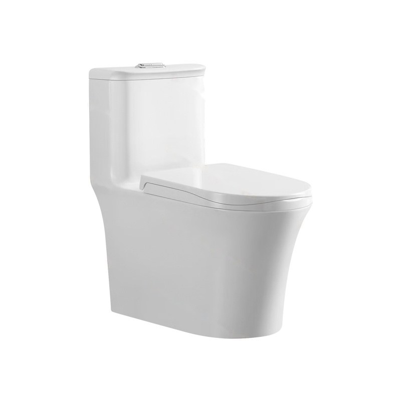 LT-1236 white one-piece-toilets