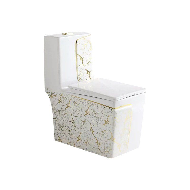 LT-1109-GID-WG1 patterned one-piece-toilets