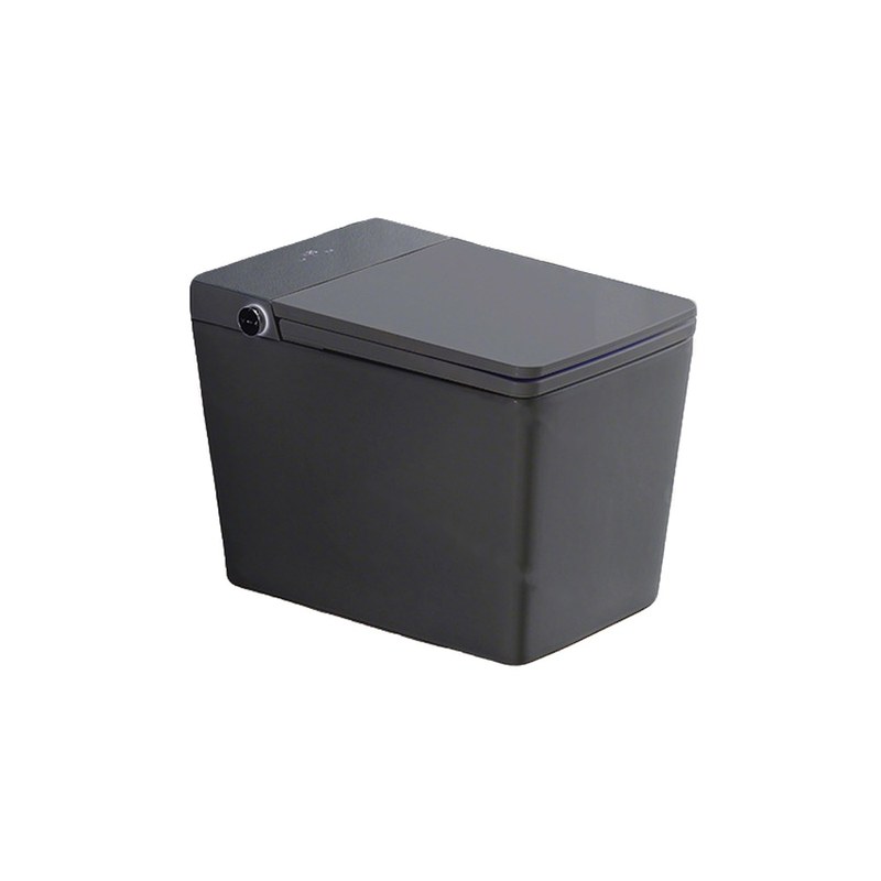 LT-TO-1124-WC-GR black smart-toilets