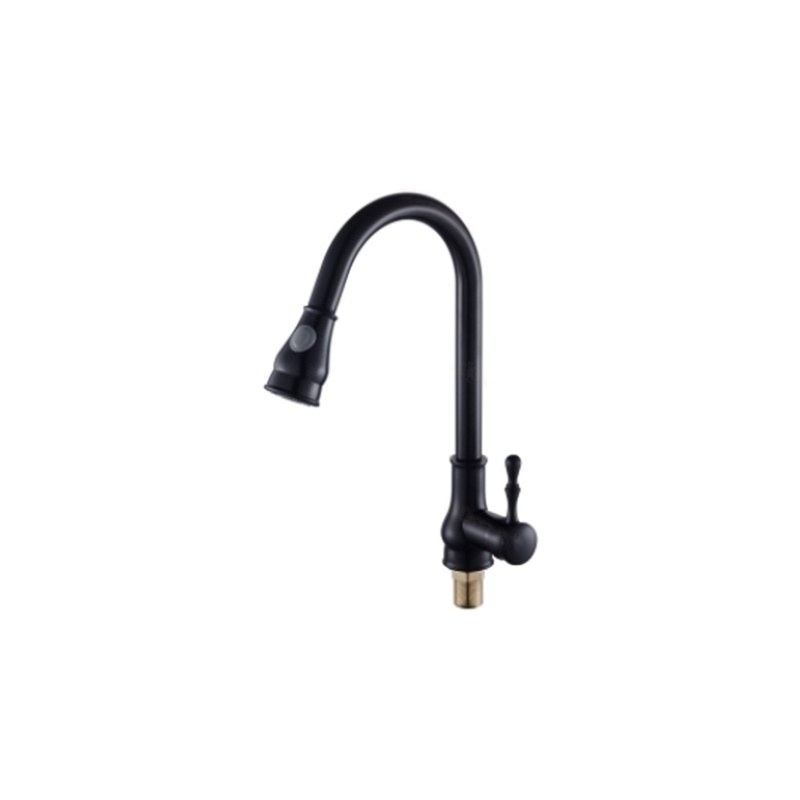 LT-10081-BRA-TCSCLRLT kitchen faucet, kitchen mixer tap, sink faucet