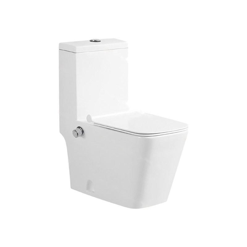 LT-1037-坐浴盆 white one-piece-toilets
