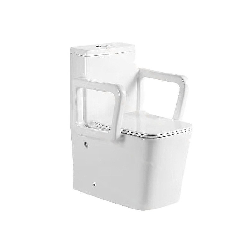 LT-1311 white one-piece-toilets