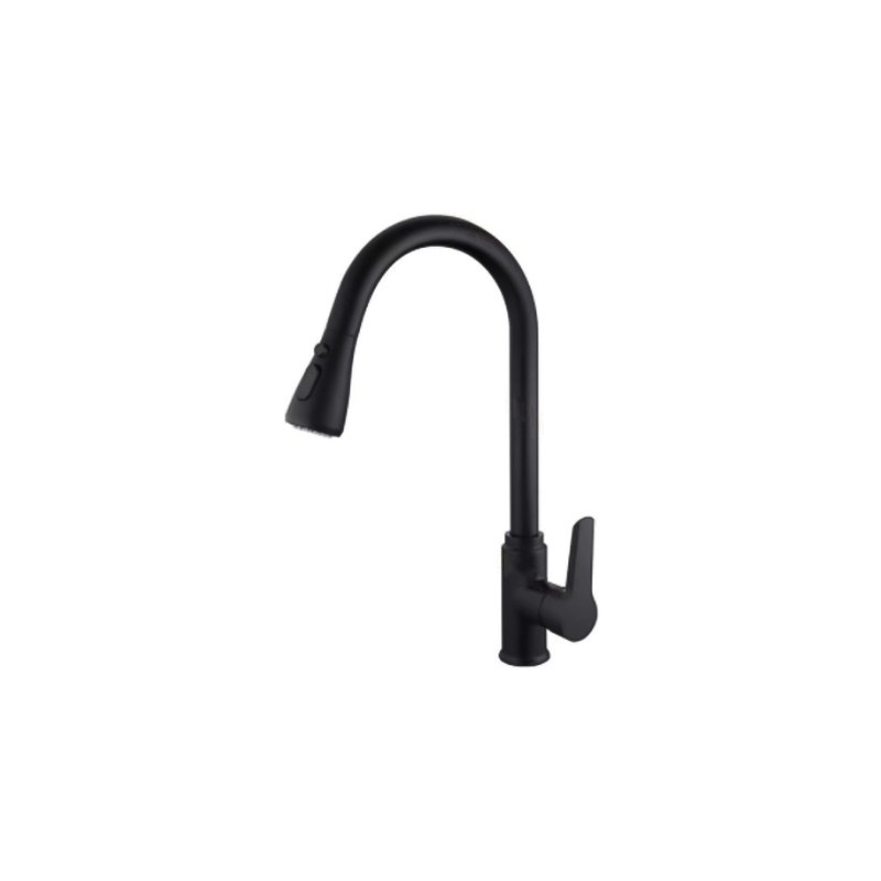 LT-10101-BRA-TCCLSSCLRLT kitchen faucet, kitchen mixer tap, sink faucet
