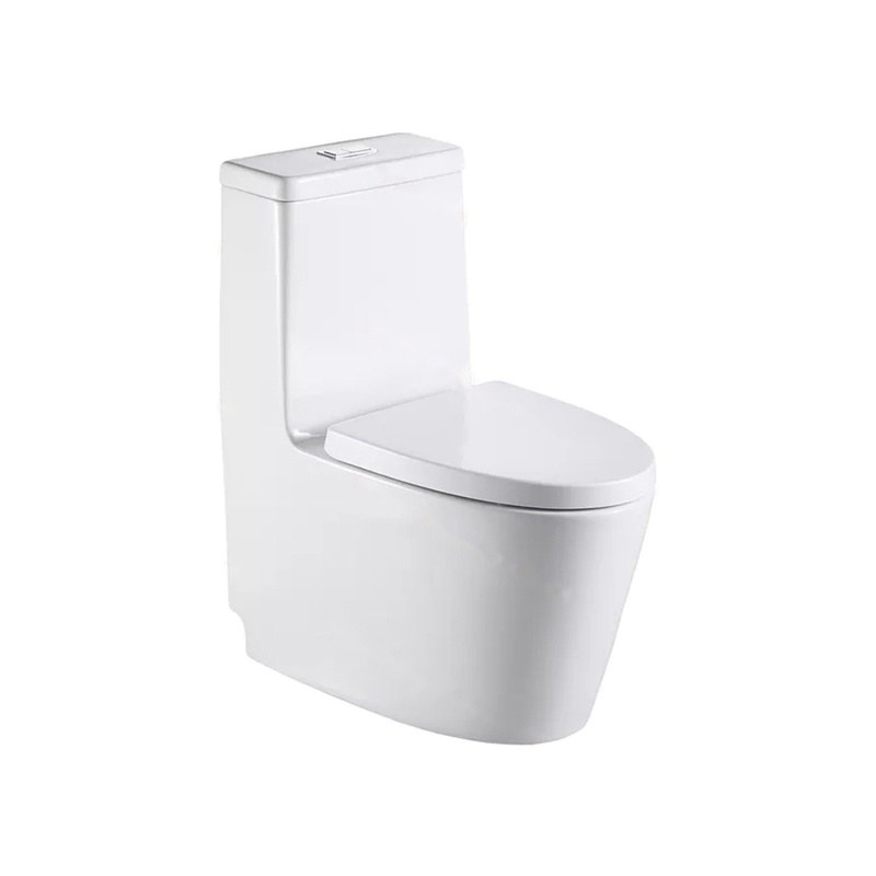 LT-1166 white one-piece-toilets