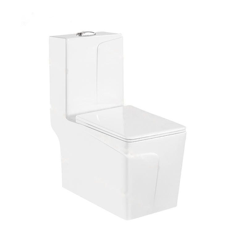 LT-1109 white one-piece-toilets