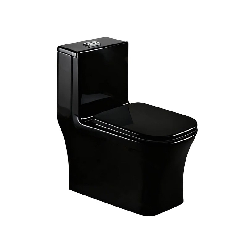 LT-1100-CG-BL black one-piece-toilets