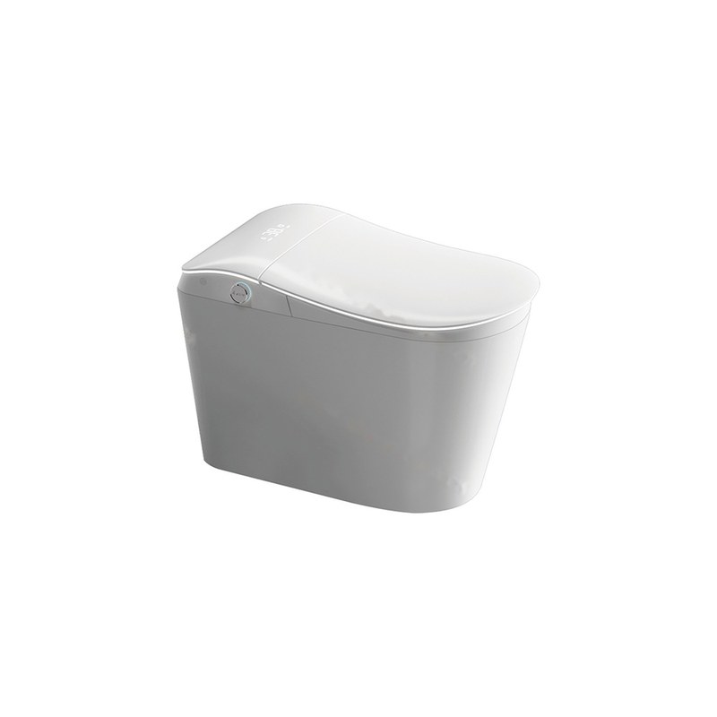 LT-TO-1126-C patterned smart-toilets