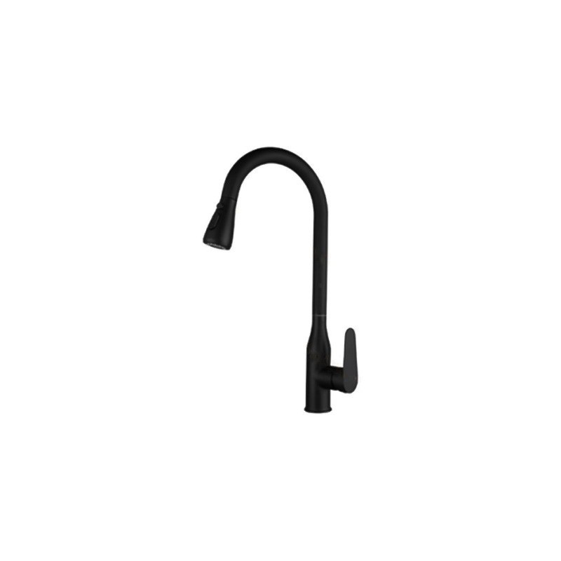 LT-10058-SS-TCCLSSCLRLT kitchen faucet, kitchen mixer tap, sink faucet
