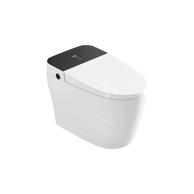 LT-TO-1019-C-BL white smart-toilets