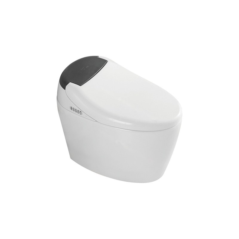 LT-TO-1012-B white smart-toilets