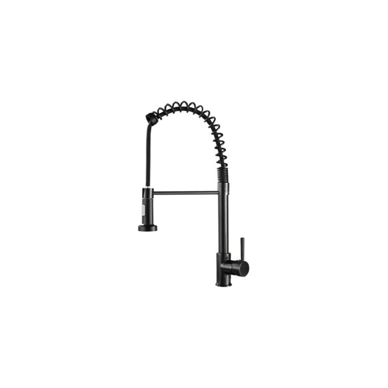 LT-10020-SS-TCCLSSCLRLT kitchen faucet, kitchen mixer tap, sink faucet