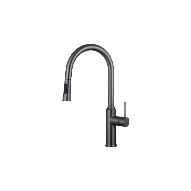 LT-10111-SS-TCCLSSCLRLT kitchen faucet, kitchen mixer tap, sink faucet