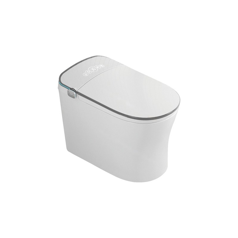 LT-TO-1066-WB-GG white smart-toilets