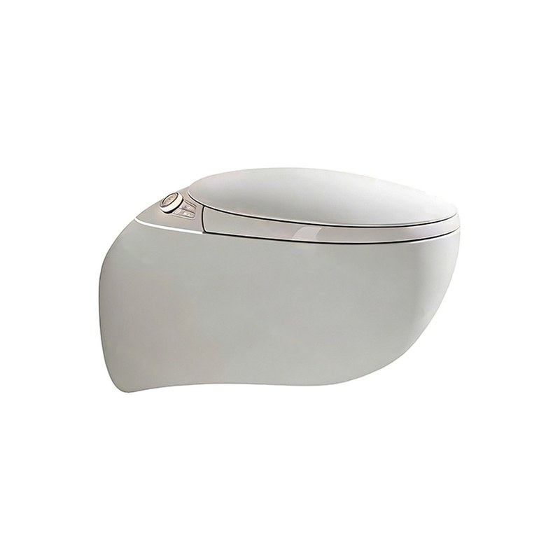 LT-TO-1119-WC grey smart-toilets