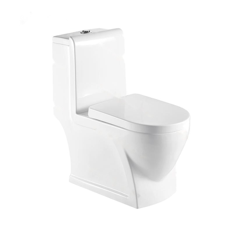 LT-1087 white one-piece-toilets