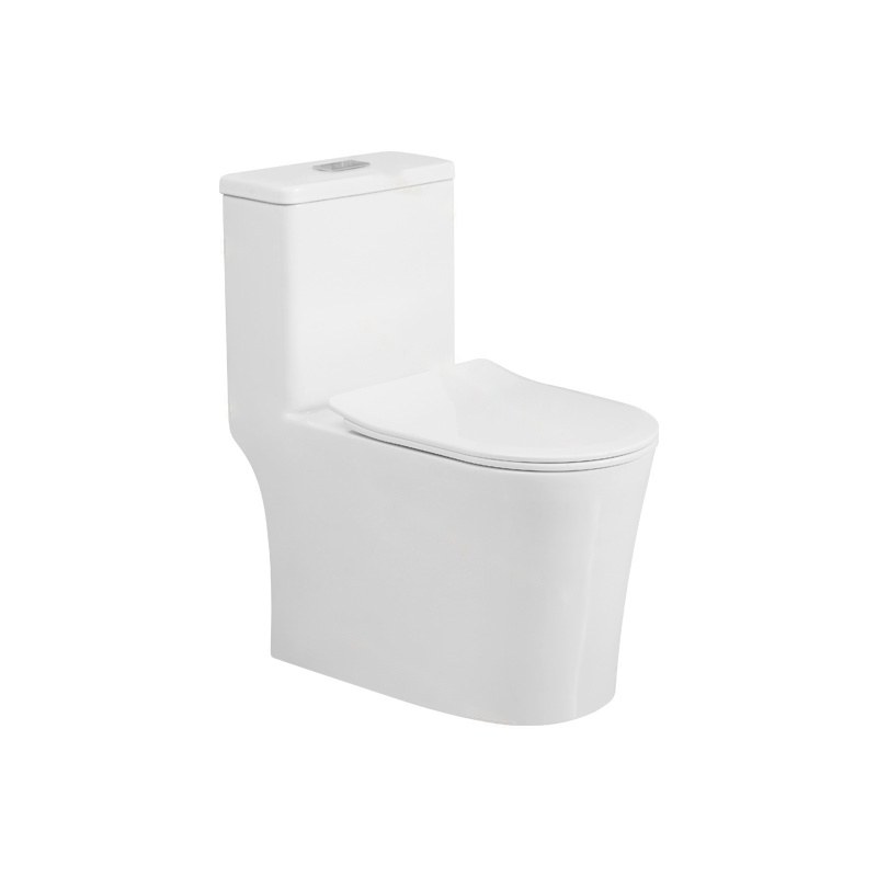 LT-1289 white one-piece-toilets