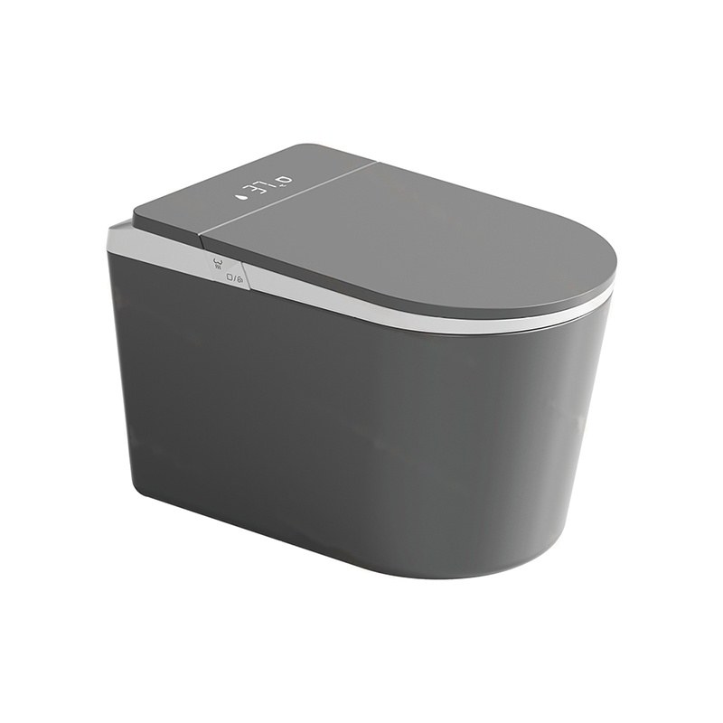 LT-TO-1136-WB-GW black smart-toilets