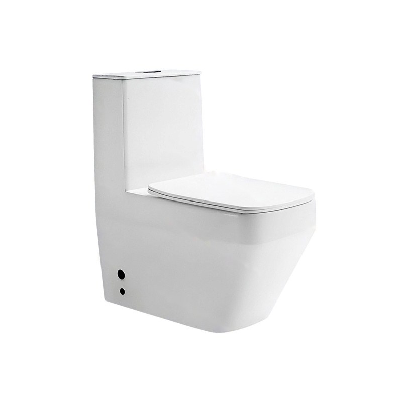 LT-1364 white one-piece-toilets