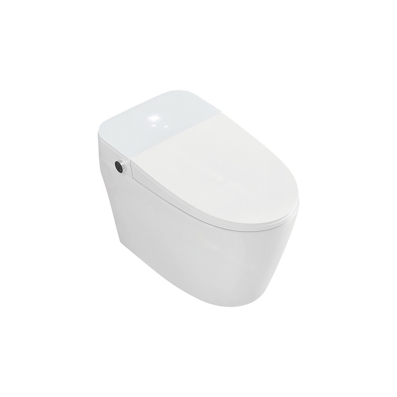 LT-TO-1019-C-W white smart-toilets
